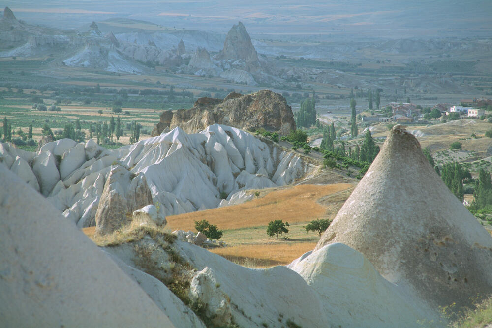 Bild von der Seite „Beyond Human Nature“