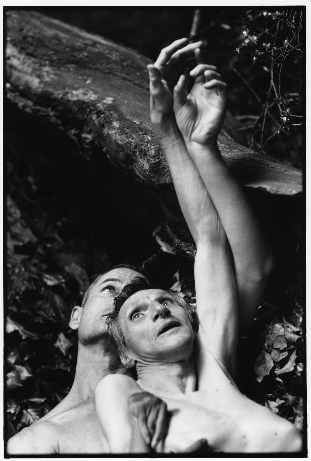 Bild von der Seite „Beyond Human Nature“