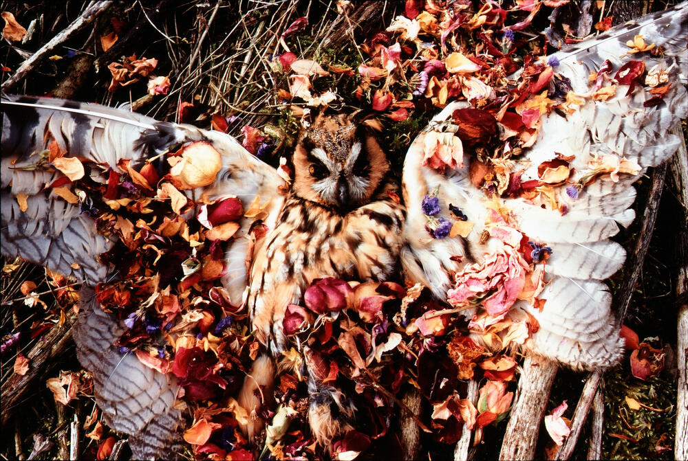 Bild von der Seite „Beyond Human Nature“