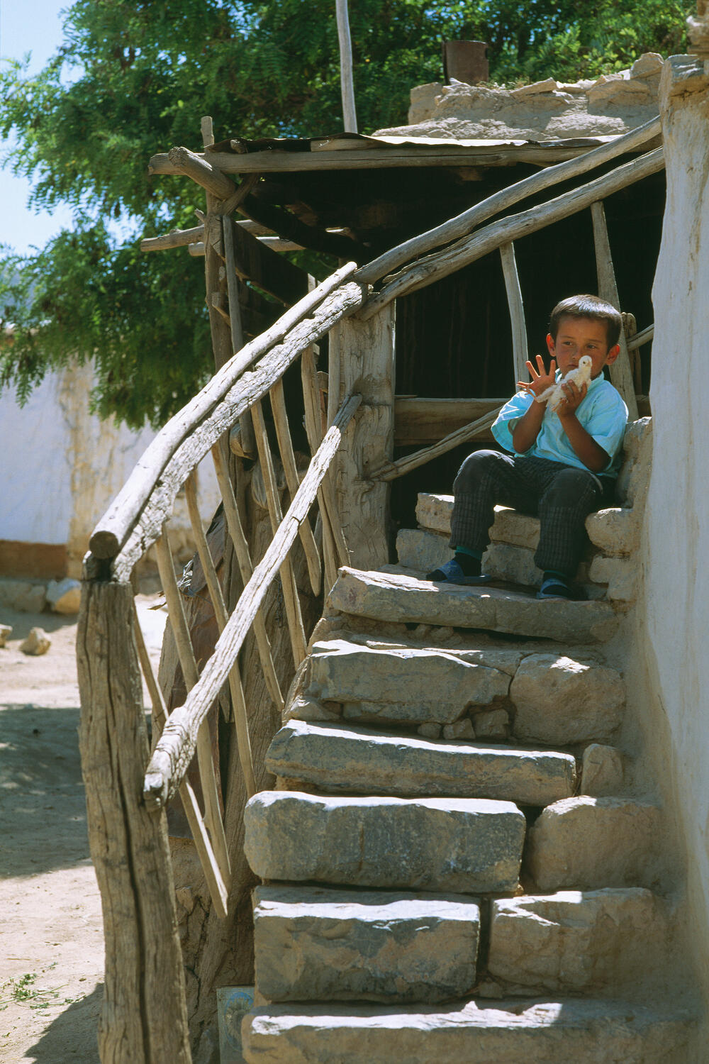 Bild von der Seite „Beyond Human Nature“