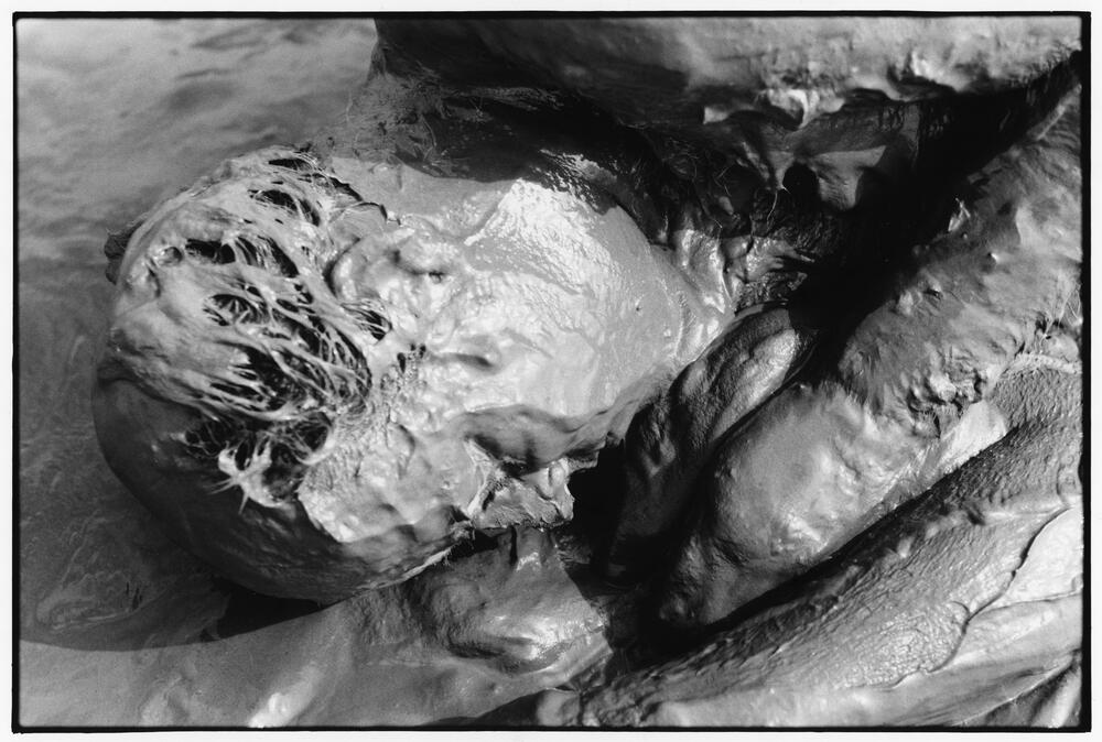 Bild von der Seite „Beyond Human Nature“