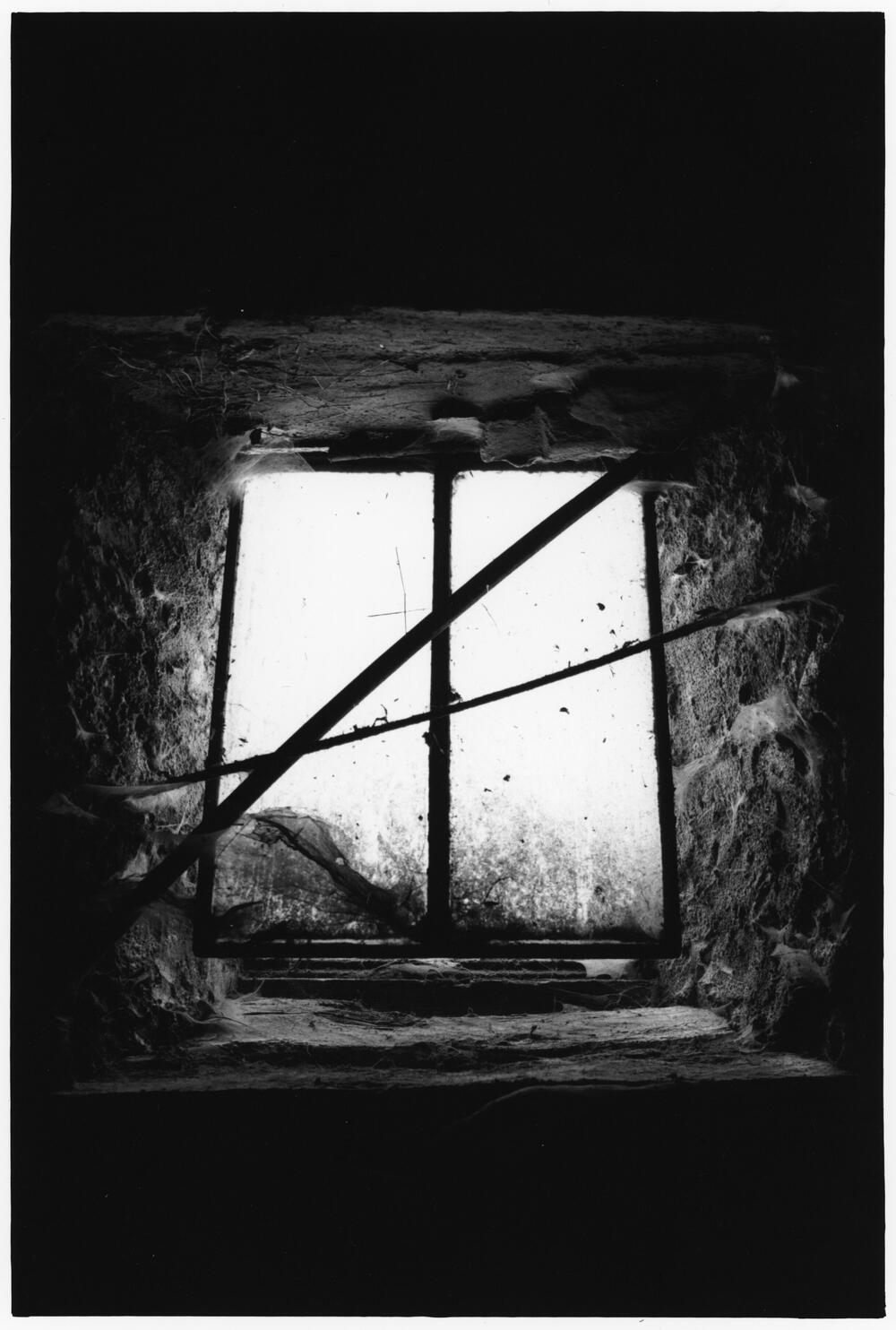 Bild von der Seite „Beyond Human Nature“