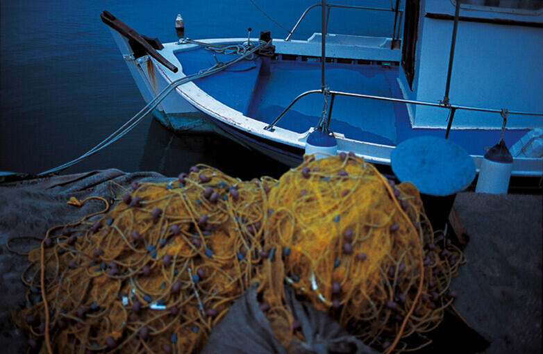 Bild von der Seite „Beyond Human Nature“