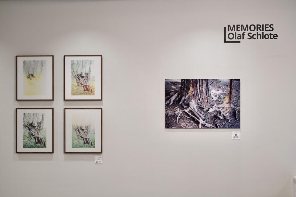 Image from page “Memories, exhibition at the Willy Brandt House in Berlin”