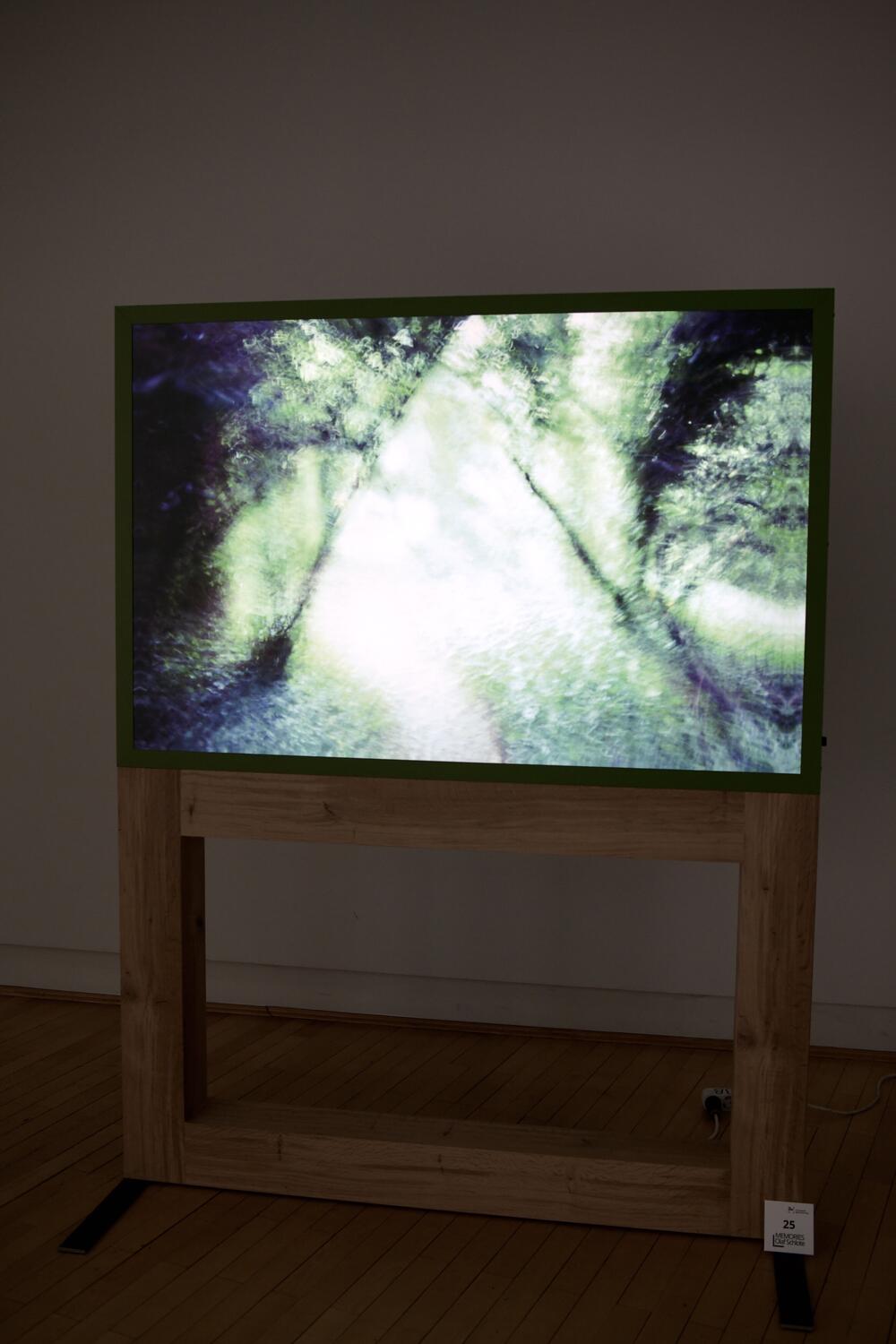 Image from page “Memories, exhibition at the Willy Brandt House in Berlin”