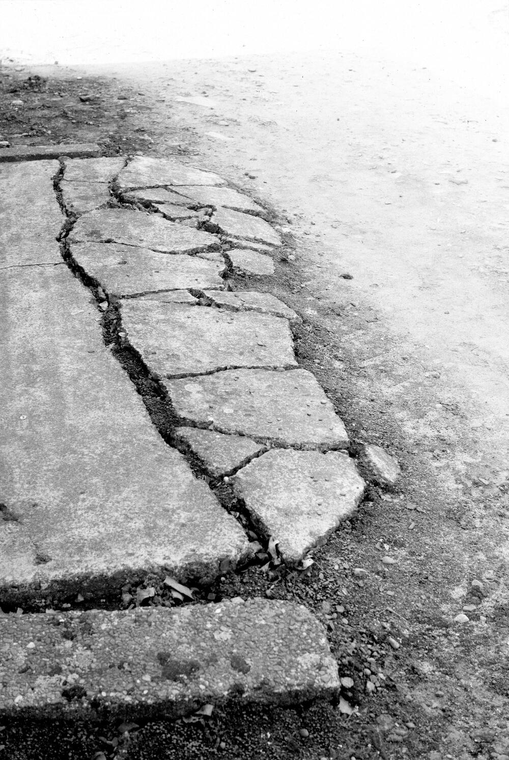 Image from page “Auschwitz”