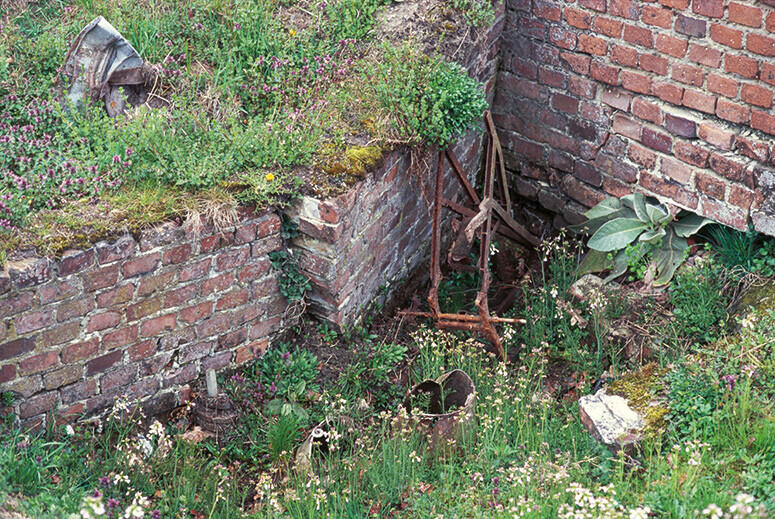 Image from page “Auschwitz”