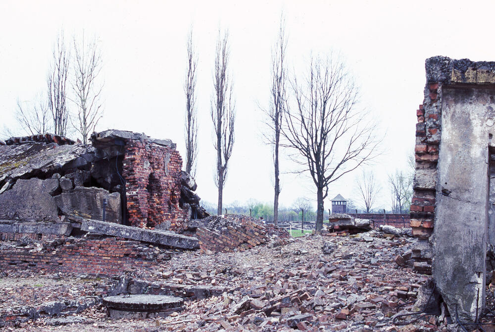 Bild von der Seite „Auschwitz“