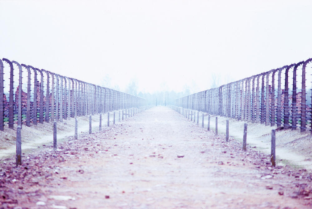 Bild von der Seite „Auschwitz“