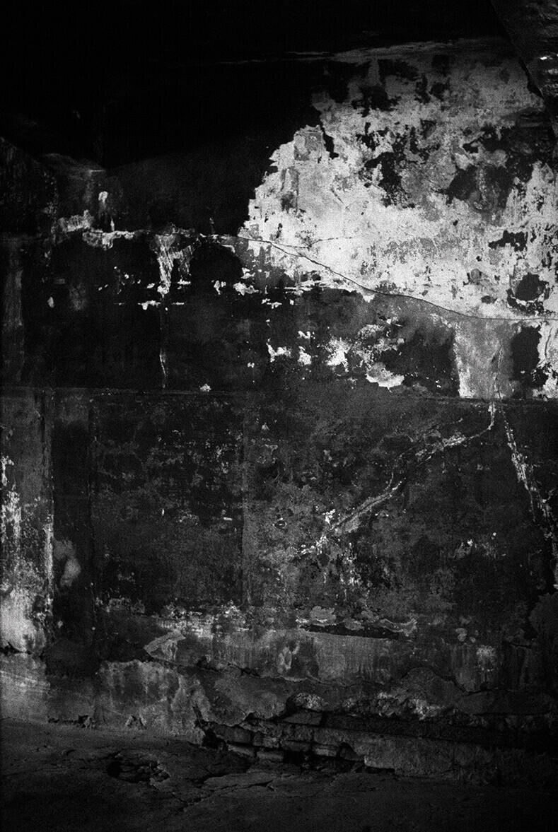 Image from page “Auschwitz”