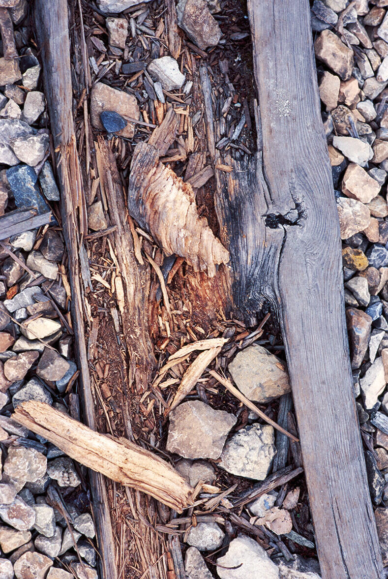 Bild von der Seite „Auschwitz“