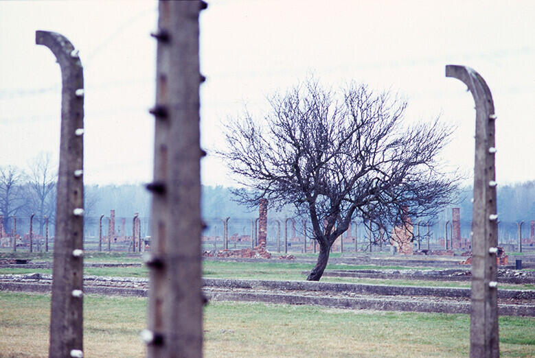 Bild von der Seite „Auschwitz“