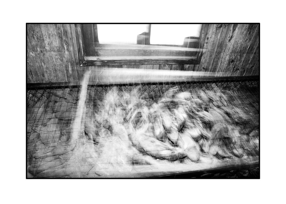 Bild von der Seite „Majdanek“