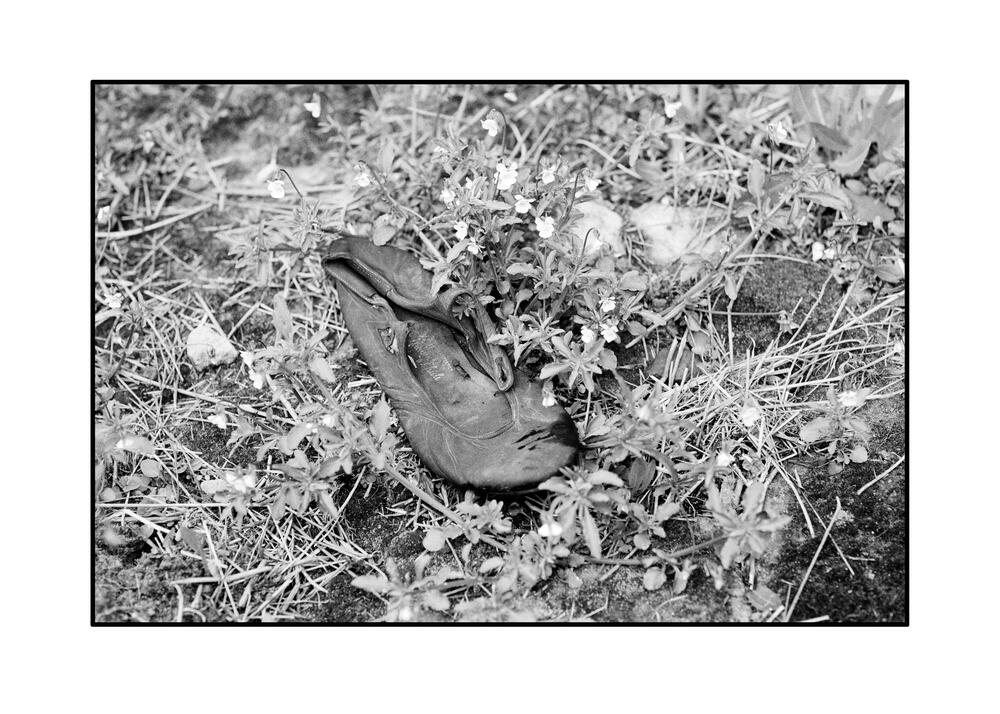 Image from page “Majdanek”