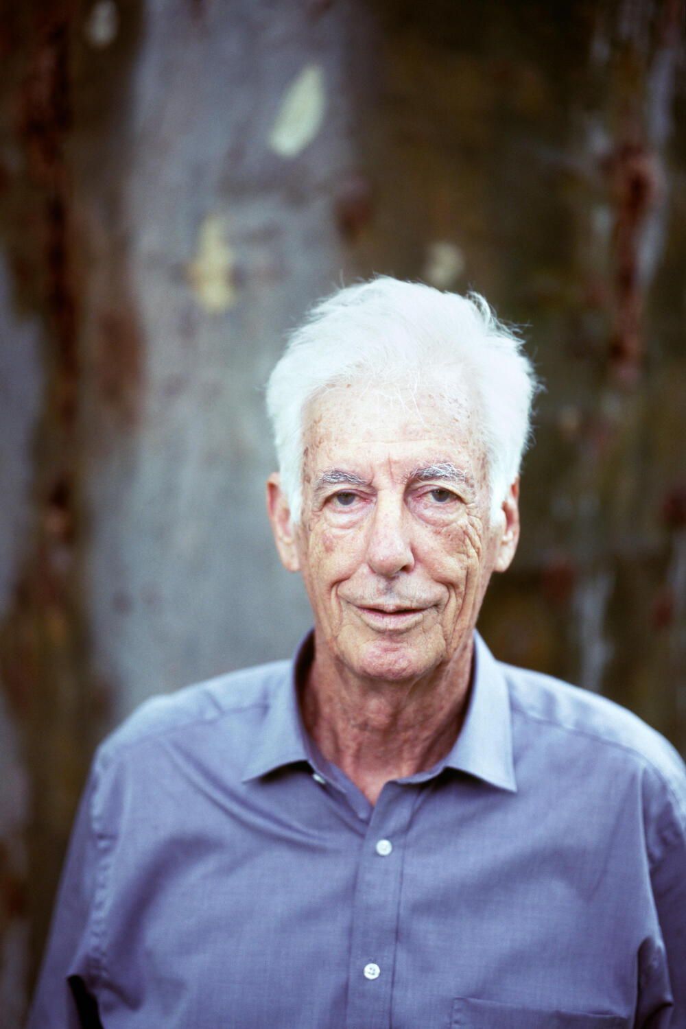 Bild von der Seite „Portraits“