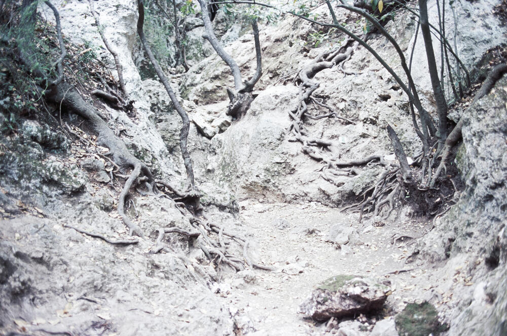 Bild von der Seite „Reflexionen II“