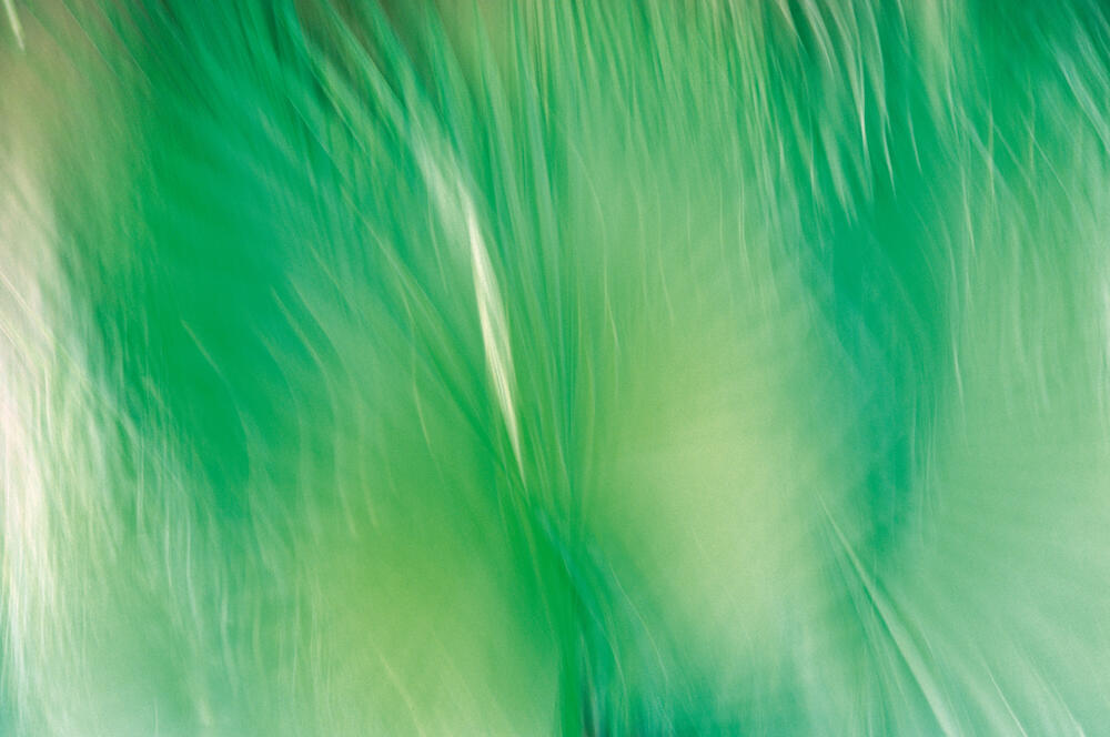 Bild von der Seite „Reflexionen II“