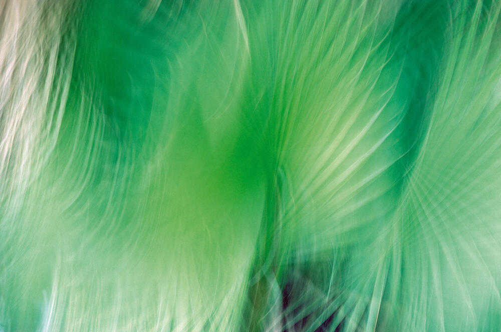 Bild von der Seite „Reflexionen II“