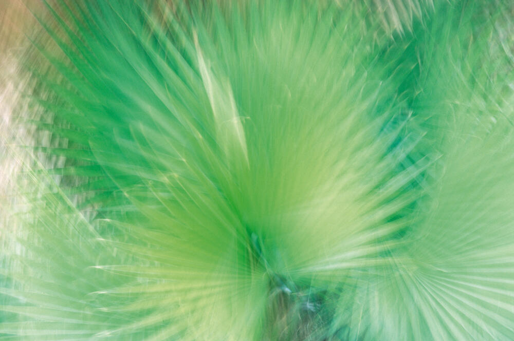 Bild von der Seite „Reflexionen II“