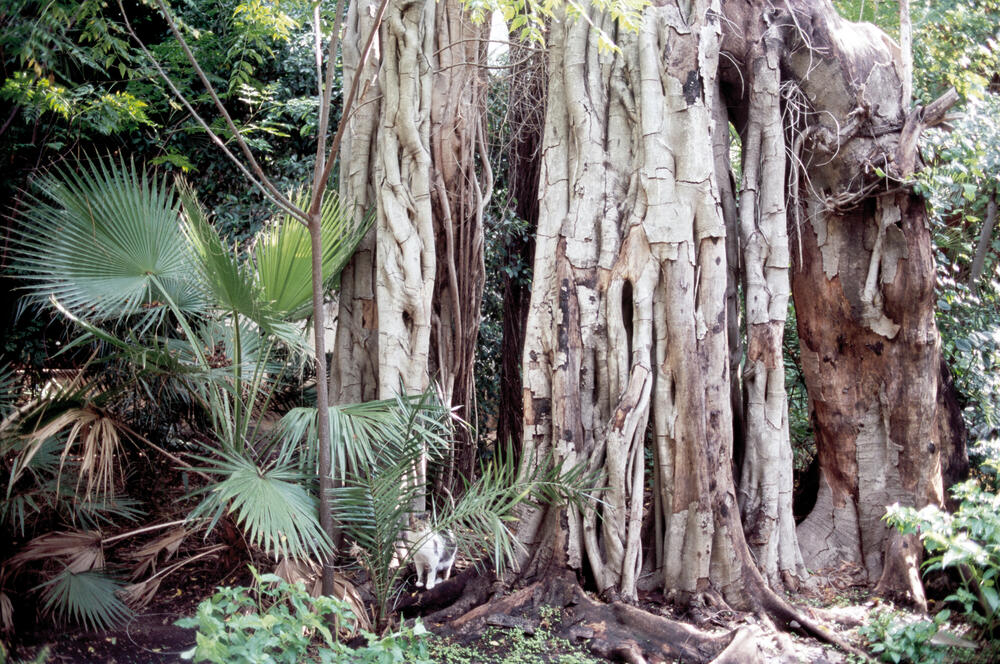 Bild von der Seite „Reflexionen II“