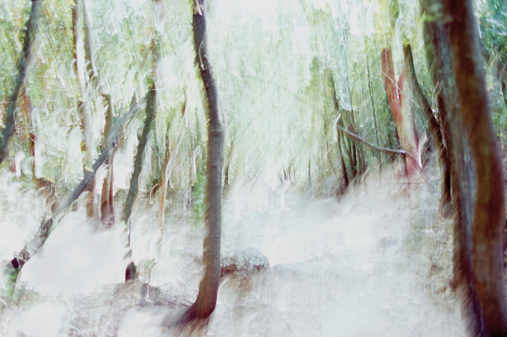 Bild von der Seite „Reflexionen II“