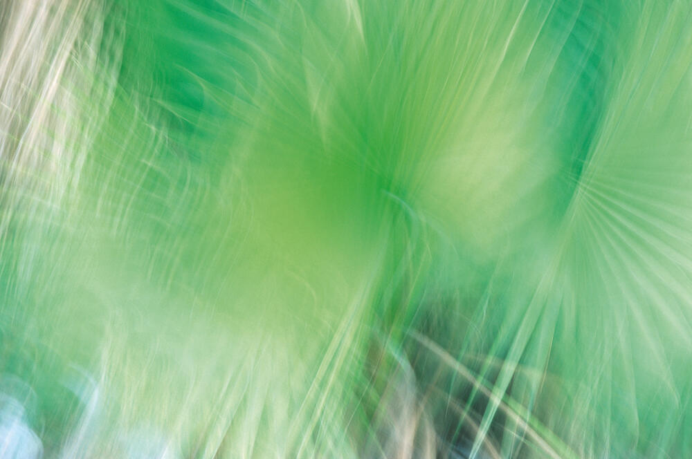 Bild von der Seite „Reflexionen II“