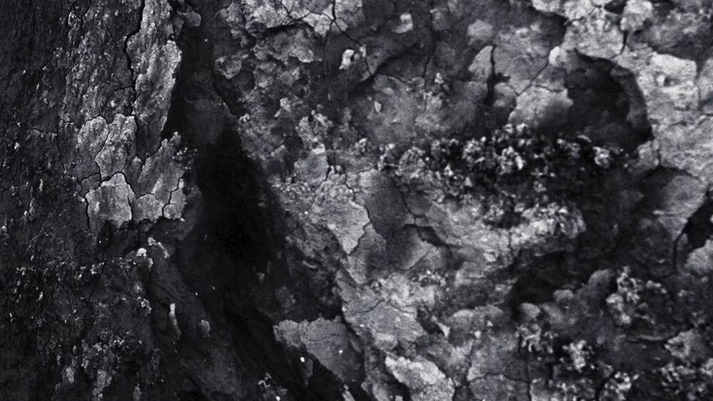 Bild von der Seite „Reflexionen III“