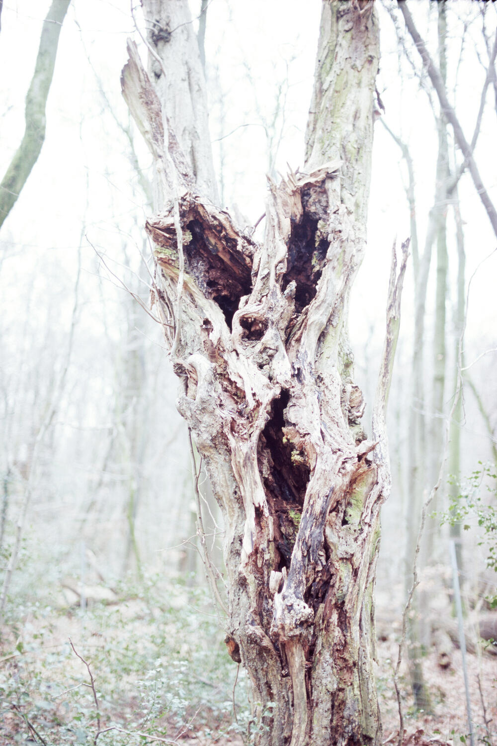 Bild von der Seite „Resonanzen“