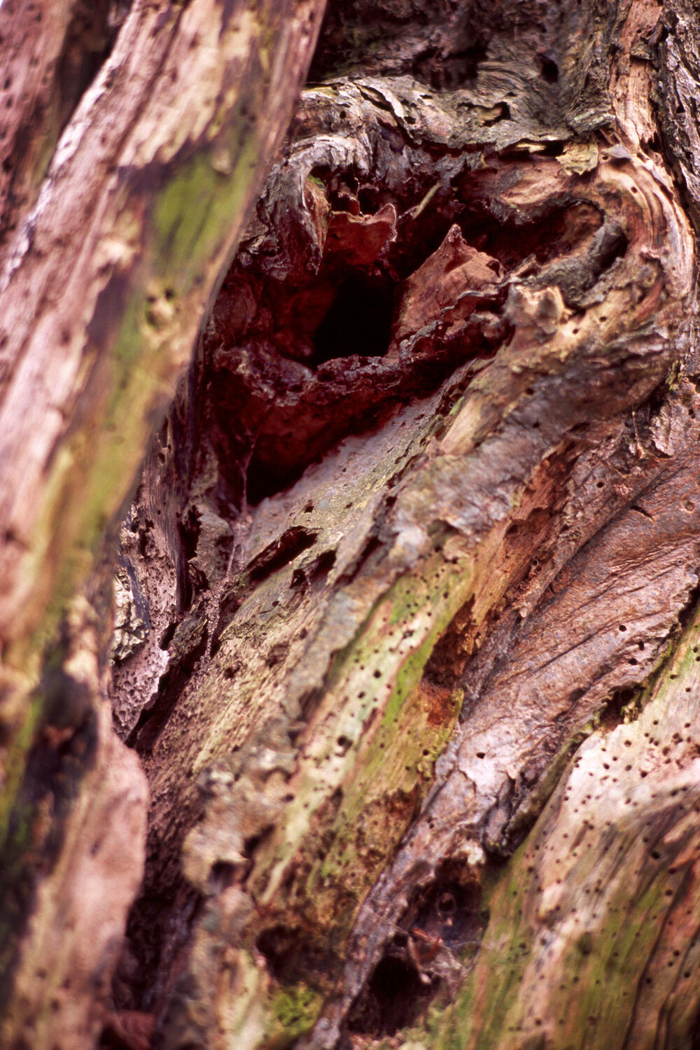 Bild von der Seite „Resonanzen“