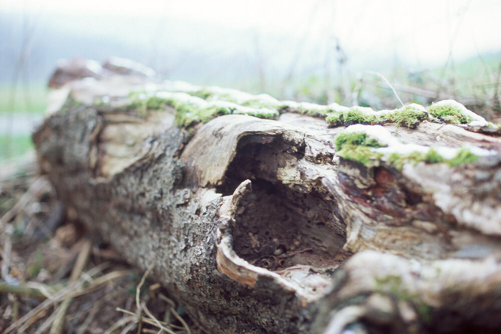 Bild von der Seite „Resonanzen“