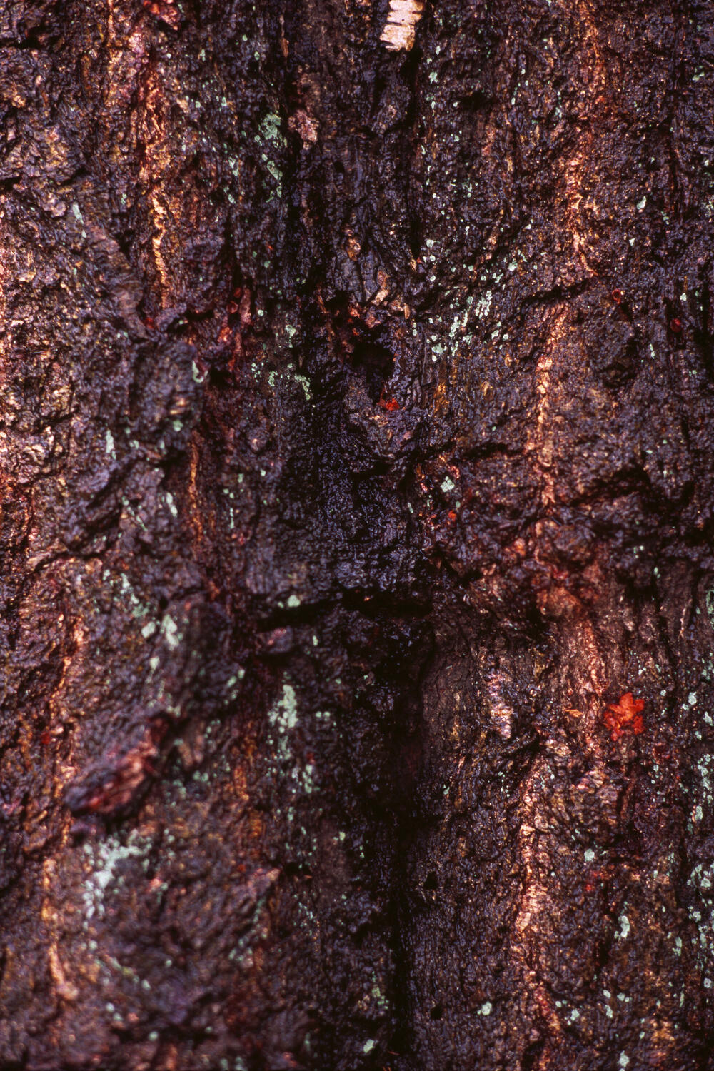 Bild von der Seite „Resonanzen“