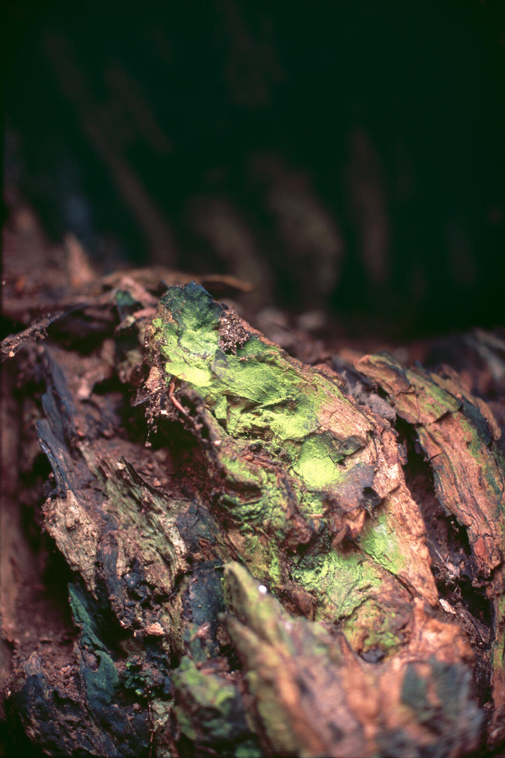 Bild von der Seite „Resonanzen“