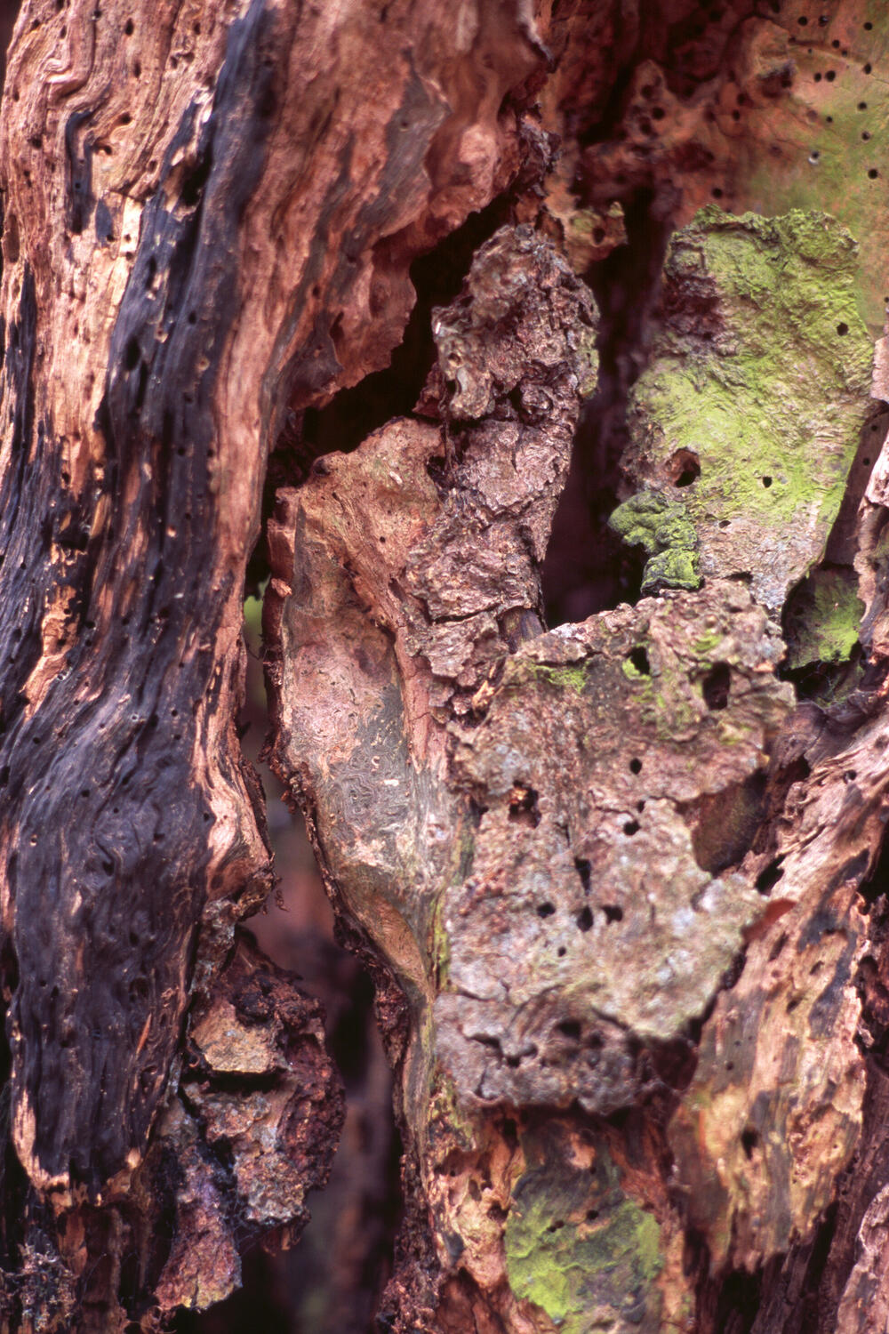 Bild von der Seite „Resonanzen“