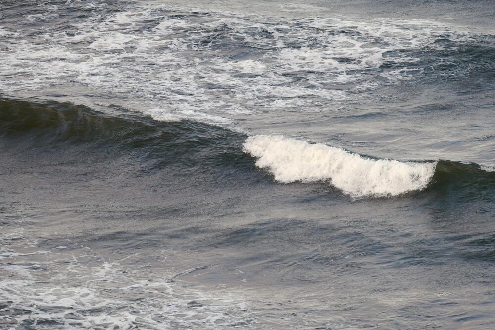 Bild von der Seite „Tides and Trees“