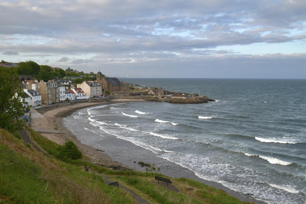 Bild von der Seite „Tides and Trees“