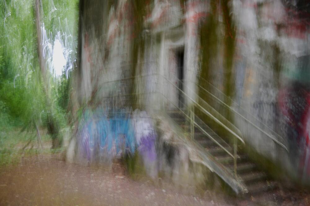 Bild von der Seite „Tides and Trees“