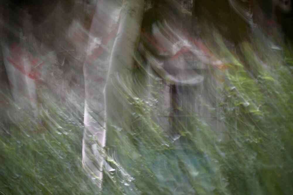 Bild von der Seite „Tides and Trees“