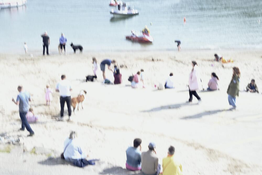 Bild von der Seite „Tides and Trees“