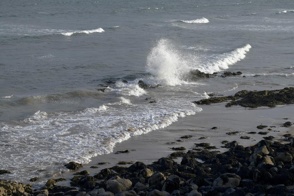 Bild von der Seite „Tides and Trees“