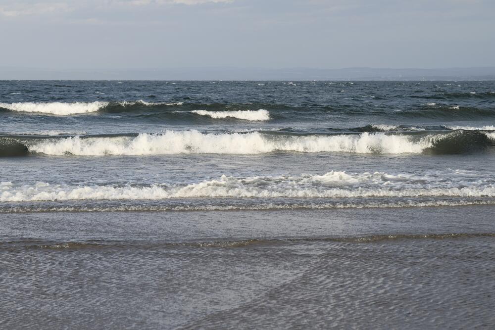 Bild von der Seite „Tides and Trees“