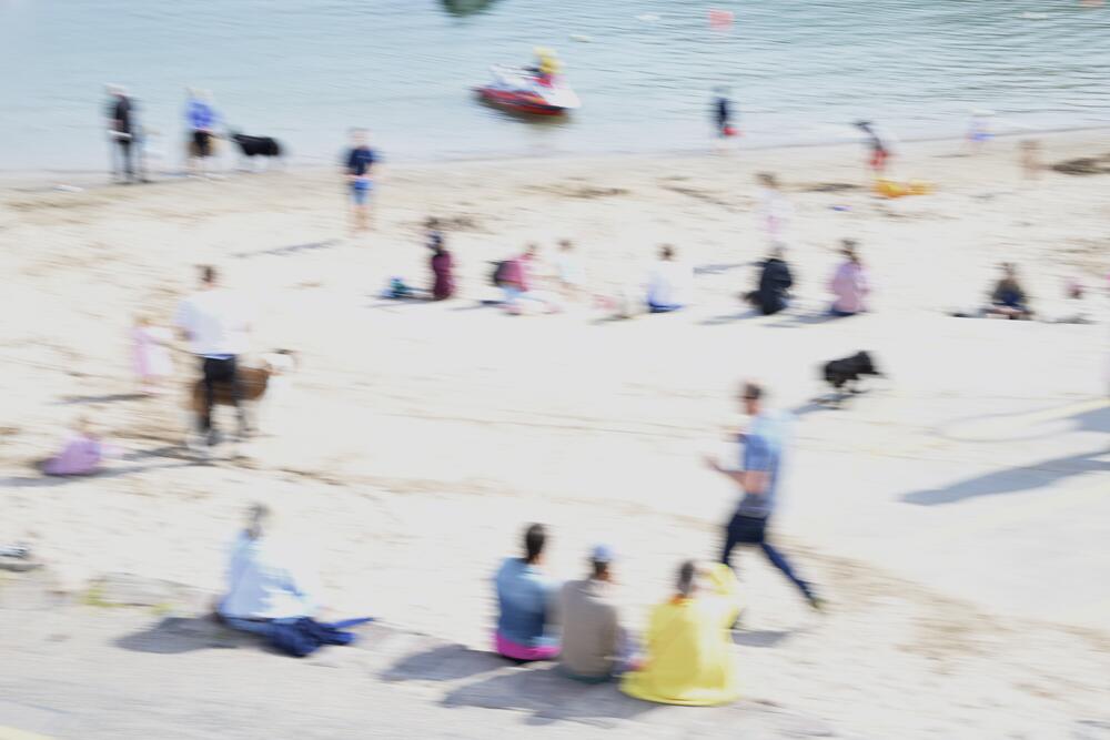 Bild von der Seite „Tides and Trees“