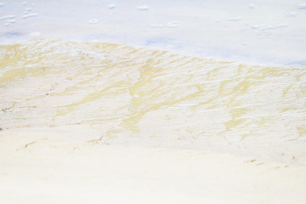 Bild von der Seite „Tides and Trees“