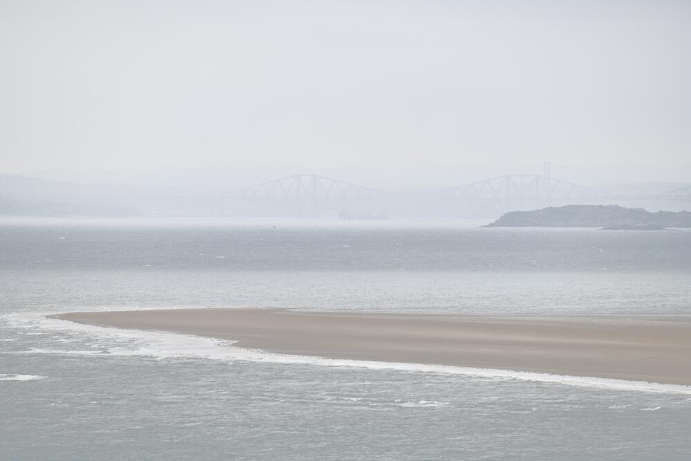 Bild von der Seite „Tides and Trees“