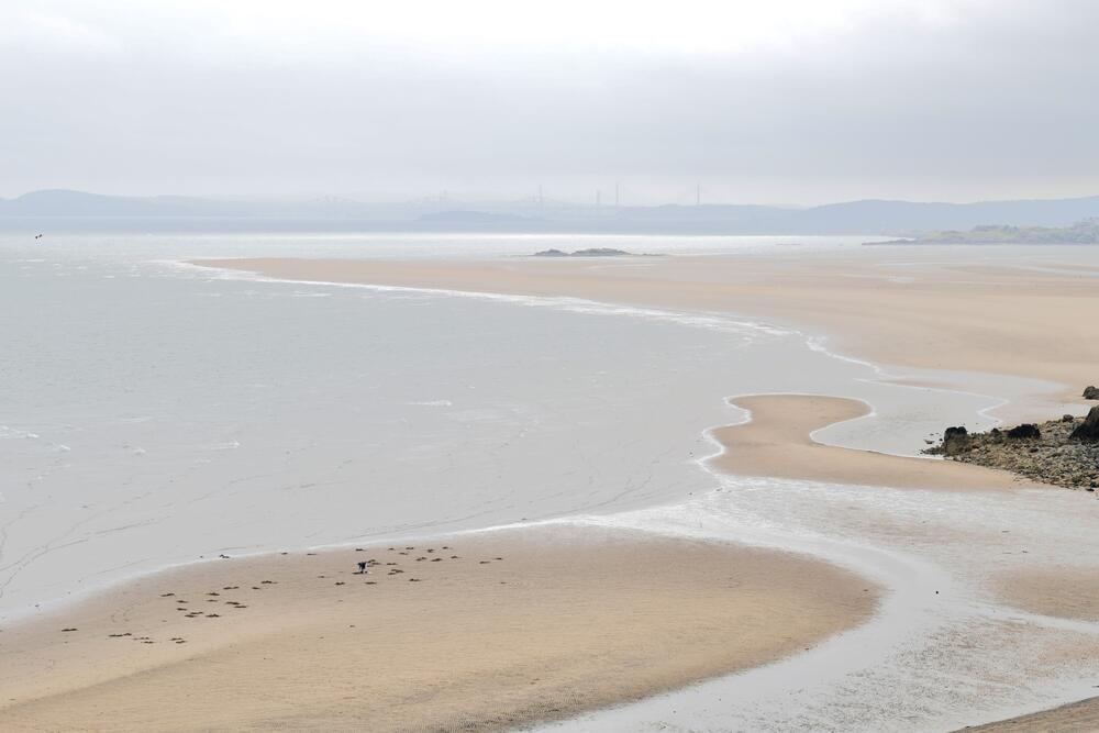 Bild von der Seite „Tides and Trees“