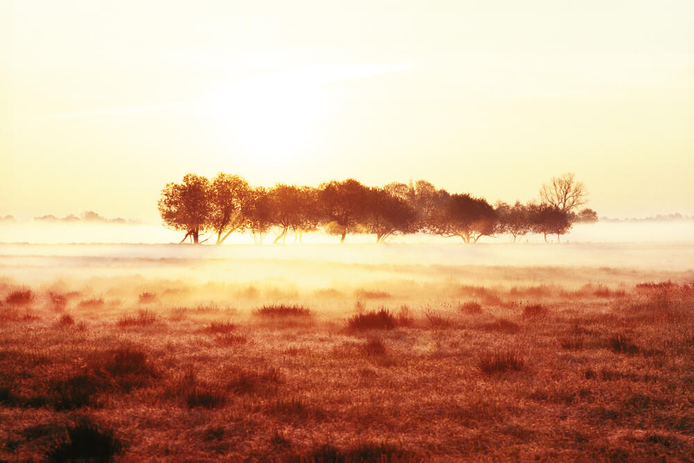 Bild von der Seite „Transit“