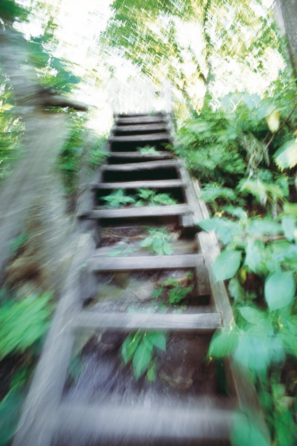 Bild von der Seite „Transit“