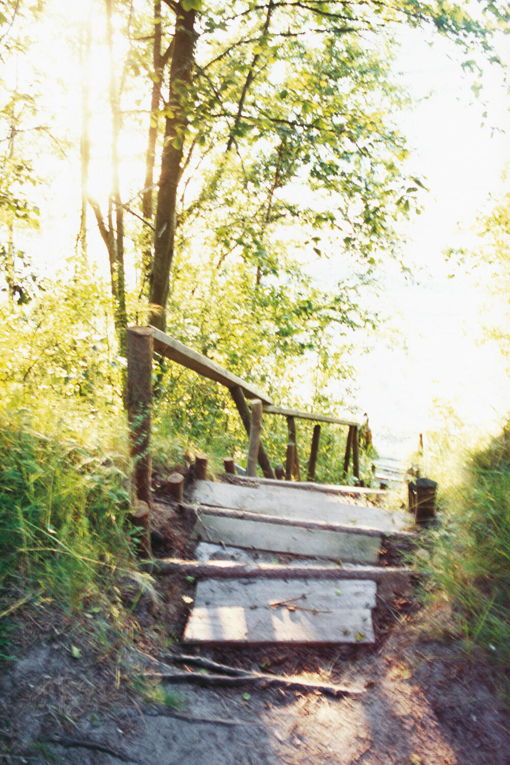 Bild von der Seite „Transit“