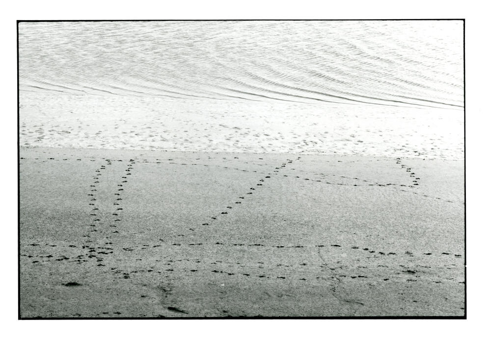 Bild von der Seite „Von Häfen, Schiffen und viel Meer“