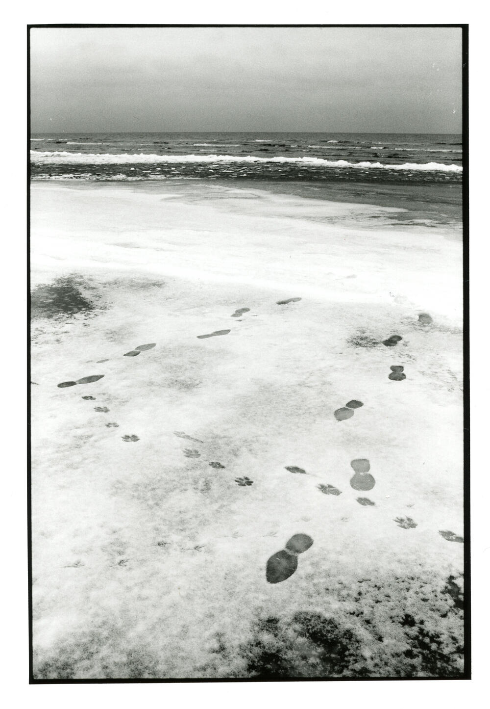 Bild von der Seite „Von Häfen, Schiffen und viel Meer“