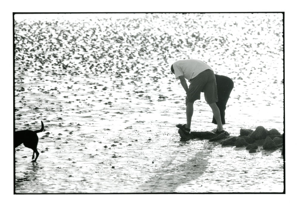 Bild von der Seite „Von Häfen, Schiffen und viel Meer“